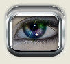 Multicolored eyes